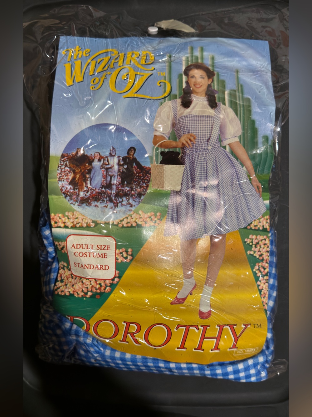 The Wizard Of Oz Dorothy Costume